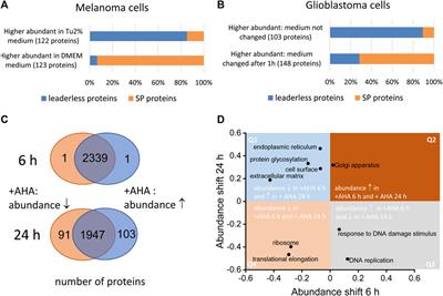 Secretomics—A Key to a Comprehensive Picture of Unconventional Protein Secretion